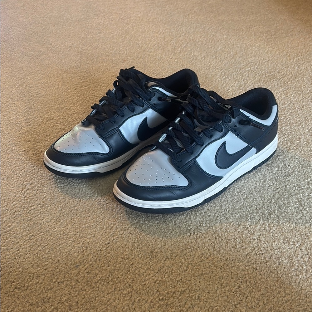 Nike Georgetown Dunk Low